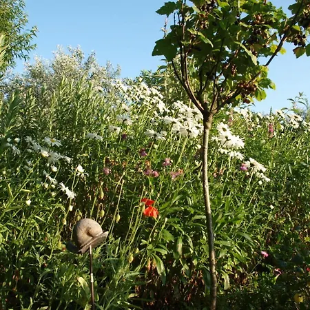 Feriehus Land Und Means 